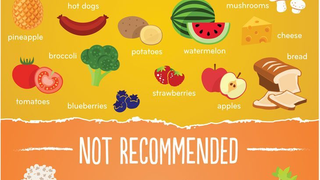 Illustration for article titled Protect Your Pups From This Recalled Dog Food